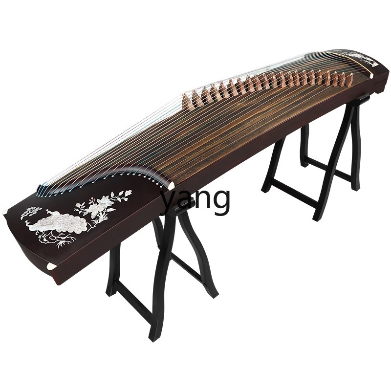 Musical Instrument Guzheng - test entry level 10 speelbaar professioneel