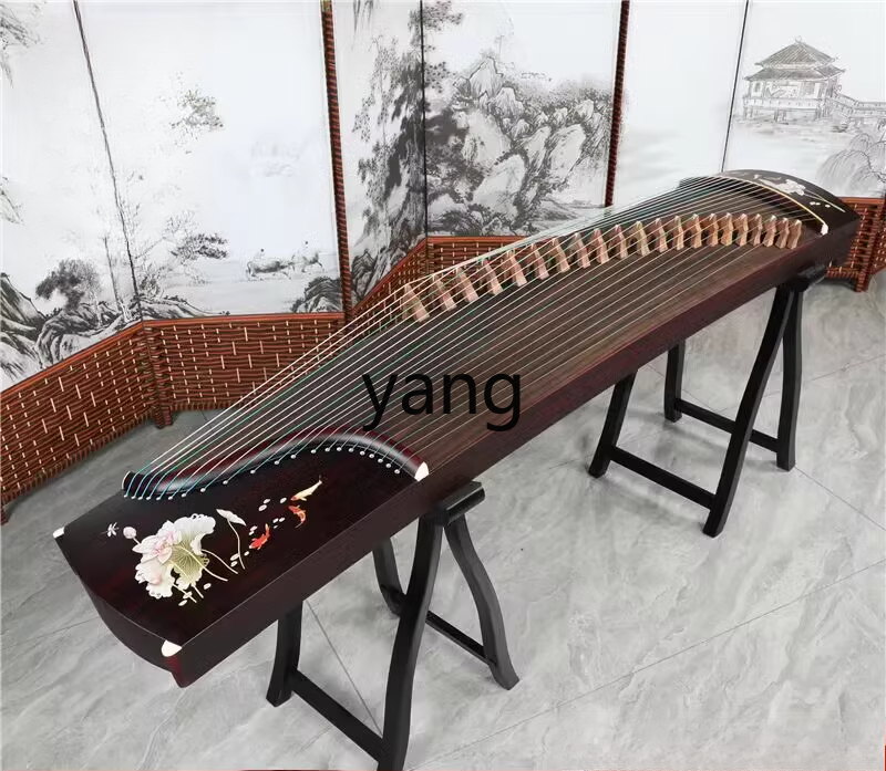 test entry level 10 speelbaar  - Musical Instrument Guzheng recensie en prijs