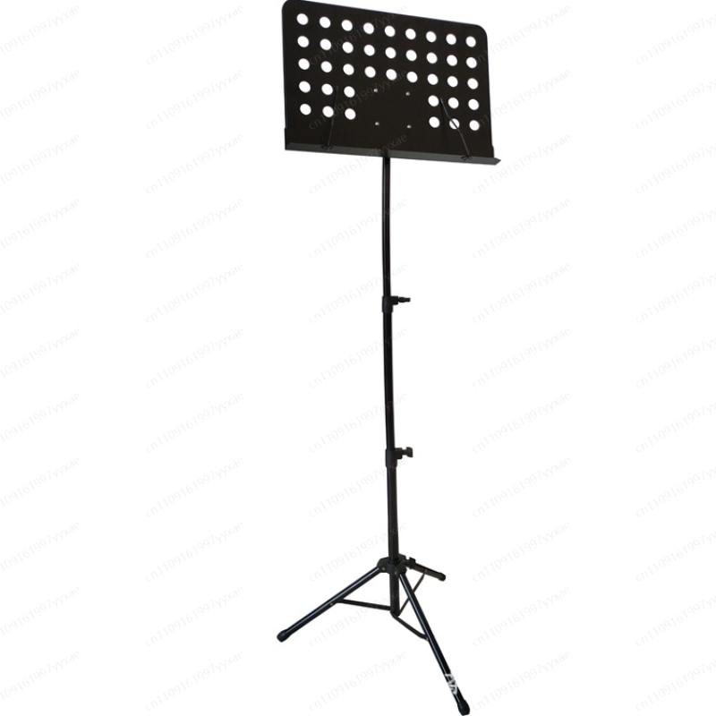 Professionele grote muziekstan - Musical Instrument Guzheng recensie en prijs
