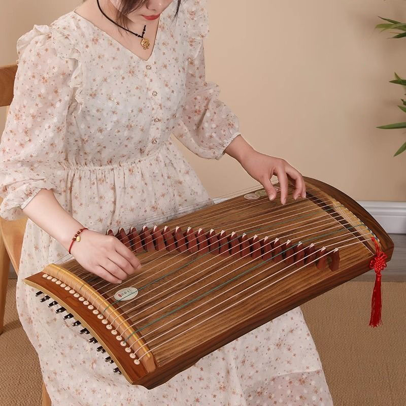 70/100 cm Kleine Guzheng Draag - Musical Instrument Guzheng recensie en prijs
