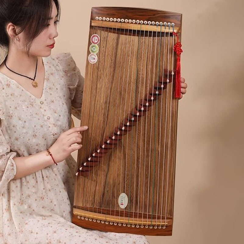 70/100 cm Kleine Guzheng Draag - Musical Instrument Guzheng recensie en prijs