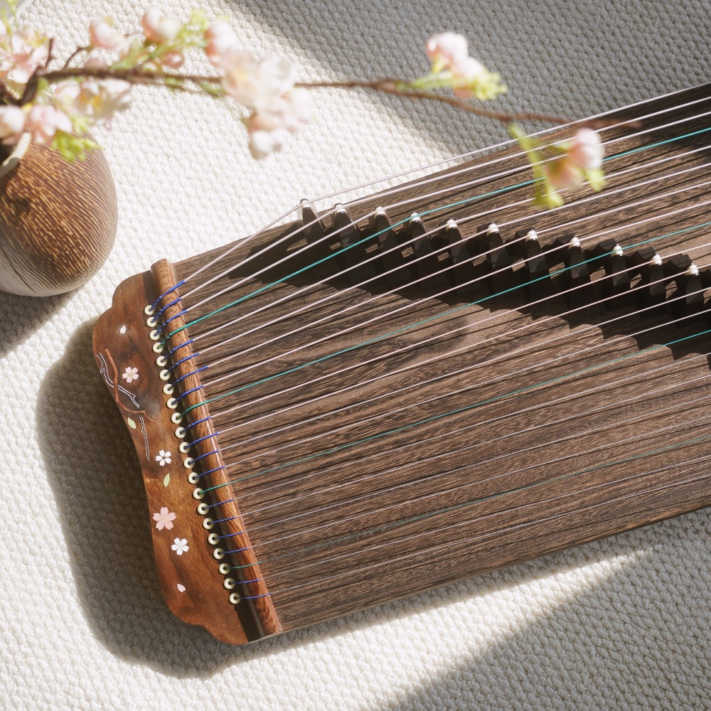 Professionele 21-snarige Guzhe - Musical Instrument Guzheng recensie en prijs